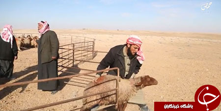 داعش در صدقه دادن دلار را جایگزین دینار کرد+ تصاویر