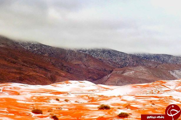 تصاویری حیرت انگیز از بارش برف در صحرای بزرگ آفریقا پس از 37 سال!+ عکس