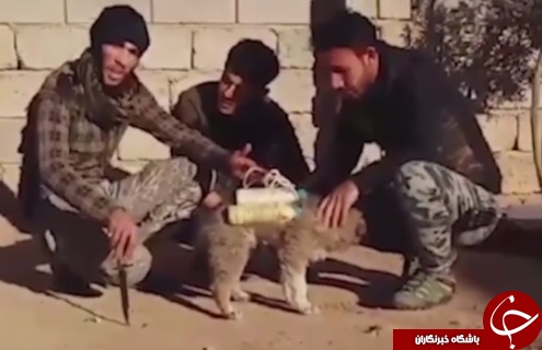 سگ انتحاری؛ شیوه جدید داعش برای ارتکاب جنایت+ تصاویر
