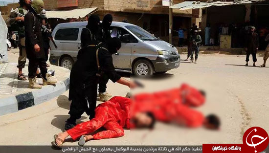 اعدام وحشیانه 6 سوری به دست داعش+ تصاویر