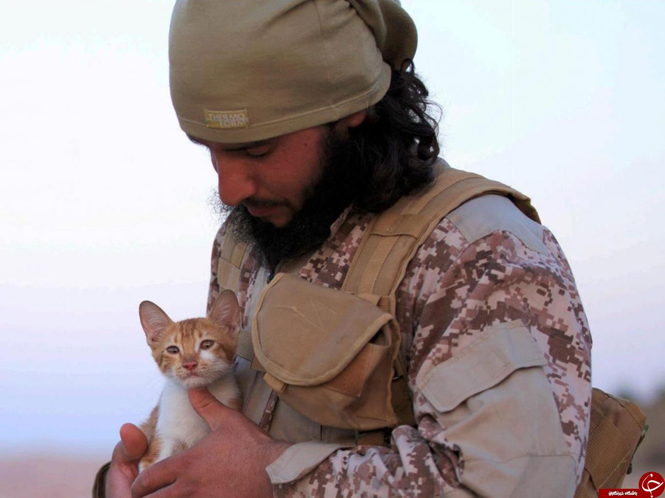 شیوه جدید داعش برای استخدام نیرو: استفاده از بچه گربه و زنبور عسل برای تحت تأثیرقرار دادن مردم+ تصاویر