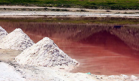 دریاچه مهارلو در آستانه خشک شدن/ علت صورتی شدن دریاچه مهارلو + تصاویر