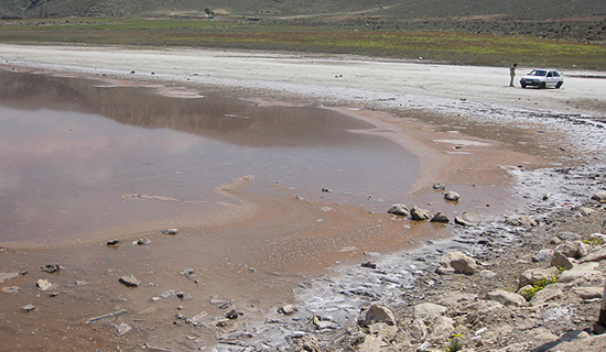 دریاچه مهارلو در آستانه خشک شدن/ علت صورتی شدن دریاچه مهارلو + تصاویر