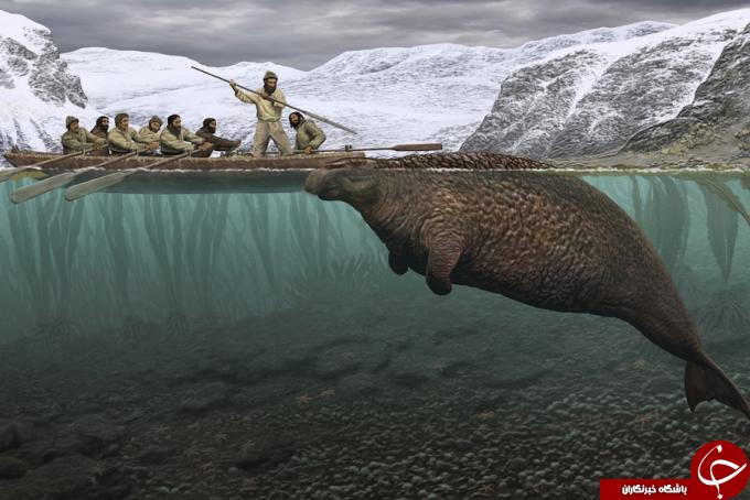 کشف لاشه 5 متری یک جانور دریایی در روسیه+ تصاویر